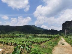 -英西峰林·洞天仙境