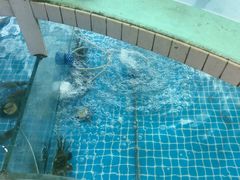 -品鲜村农家菜·阳澄湖大闸蟹(总店)