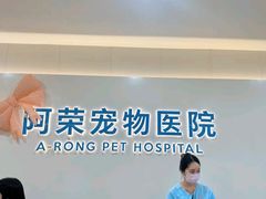 -阿荣24H宠物医院·综合型转诊中心·CT·核磁影像中心