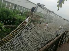 -呀路古热带植物园