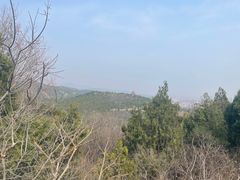 -府君山公园