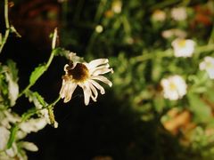 -渤公岛生态公园