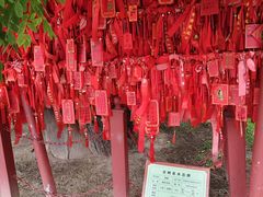 -代州文庙