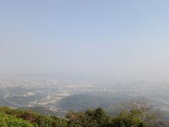 -黄埔油麻山森林公园