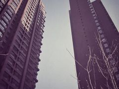 -东北大学(秦皇岛分校)