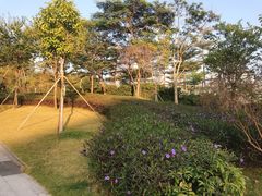 -深圳市人才园(深南大道店)