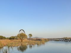 -苏州太湖湖滨国家湿地公园