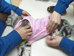 -谐和贝康宠物医院24小时·宠保定点(急重症转诊中心)