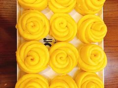 -爱的果实月嫂育婴师(世纪东方店)