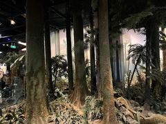 -浙江自然博物院(杭州馆)