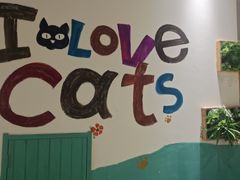 -藏猫猫咖啡主题馆(中央大道店)