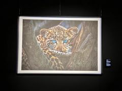 -罗红摄影艺术馆