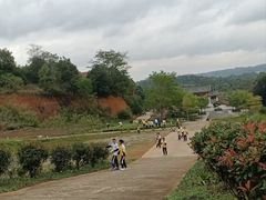 -南宁良凤江国家森林公园