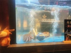 -九洲喜来登酒店湖月日餐厅