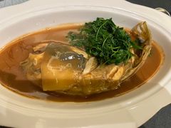 -沈灶河豚宴·河豚融合餐厅(汉中路店)