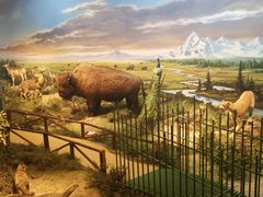 -陕西自然博物馆