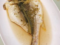 大黄鱼雪菜蒸-高佳庄·舟山海鲜(海景旗舰店)