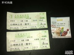 -大光明电影院(南京西路店)