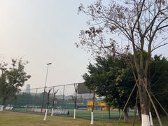 -张坝桂圆林公园