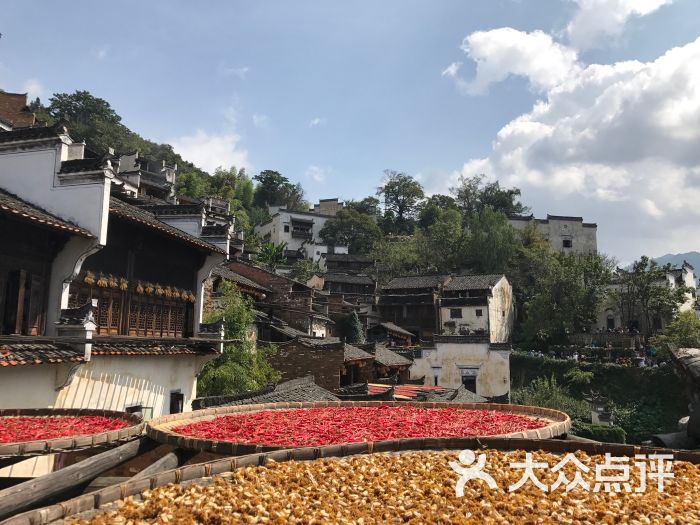 篁嶺景區-圖片-婺源縣周邊遊-大眾點評網