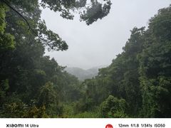 -广州市帽峰山景区