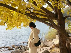 -长春市南湖公园