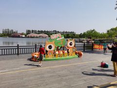 -上海长兴岛郊野公园