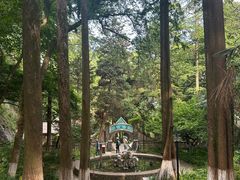 -莫干山风景区