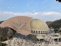 -牛首山文化旅游区