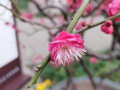 -成都杜甫草堂博物馆