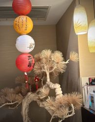 点击看大图 -iSpa