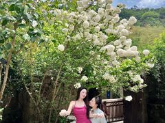 -看见远方·莫干遥远的山民宿