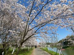 -上海海湾国家森林公园