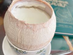 原只椰子炖奶-民信老铺(华盖路店)