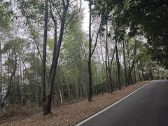 -石燕湖生态旅游景区