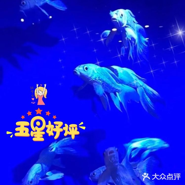 这家萌宠乐园也太棒了吧，还可以抱抱小动物！