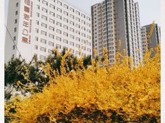 -朝阳区恒春绿景老年公寓
