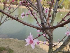 -木兰水镇旅游景区