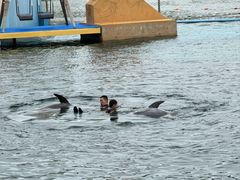 -秦皇岛乐岛海洋王国