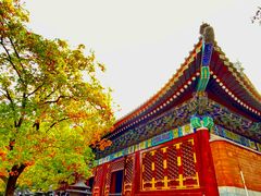-香山公园