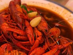 -杨氏青龙虾·羊蝎子(珠江路店)