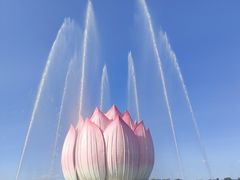 -白洋淀景区