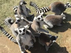 -秦皇岛野生动物园
