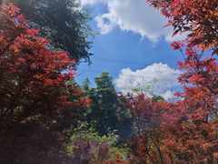 -广州市帽峰山景区
