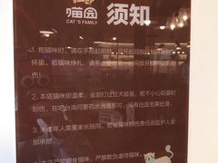 大堂-喵园·猫主题咖啡厅·撸猫·猫咖(国贸店)