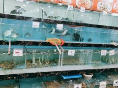 水产区-源海渔村·现捞海鲜(大角湾店)