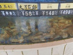 -聚福山莊·寻味顺德(北滘店)