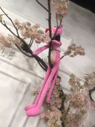 -Ly形象设计