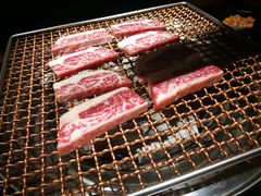 风花雪月-九田家黑牛烤肉料理(珠江摩尔店)