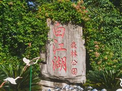 -广州白江湖森林公园